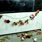 First pic of Busty Anal Dildo Vampire Vicki Vixen comes out to play