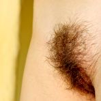 Third pic of Hairy Pussy