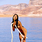 Third pic of &reg; Asian &reg; Fever&reg;
