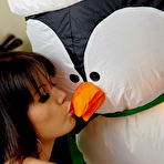 Fourth pic of Diddylicious ~ Diddy The Princess Of Cute! ~ www.diddylicious.com