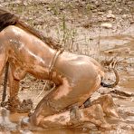 Third pic of Extreme Device Bondage free picture gallery - BONDAGE PIG