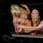 Fourth pic of Crystel Leis Electro Terror