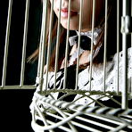 First pic of JSexNetwork Presents Azumi Harusaki