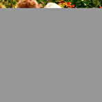 Fourth pic of Trisha & Chelsea