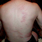 First pic of FREE TORTURE GALLERY