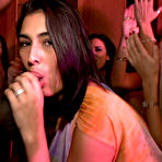 Second pic of Tale of the Dancing Bear