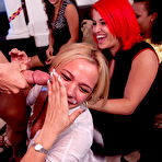 Fourth pic of Tale of the Dancing Bear