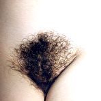Second pic of HAIRY BABES