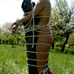 Third pic of Bondageforte - Hard and True Bondage Pictures