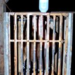 Second pic of METAL BONDAGE GALLERY