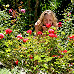 Fourth pic of LittleMutt.com - Elite Smut - Fresh Natural Ladies