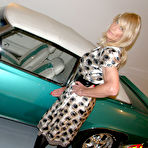 Second pic of Tranz Mania Free Sample Pictures and Free Movies