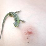 Third pic of Skokoff - Discovering new erotic talents