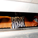 Fourth pic of CravingCarmen.com ~ Hottest Girl on the Internet!