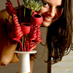 First pic of Nastia | Arrangement - MPL Studios free gallery.
