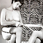 Second pic of VintageFlash Archive: Free Sample Gallery