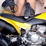 Third pic of Karup's Hometown Amateurs