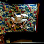 Second pic of CrAZyBaBe - Best Amateur punk nude girl site - Featuring Yan in her Sex Room