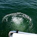 Third pic of allover30free.com introducing 53 Year Old Lynn from AllOver30 - Pictures of naked MILF and housewives from Harlingen, Texas