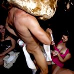 Fourth pic of Dancing Bear, sex party, bachelorette parties gone wild, party hardcore