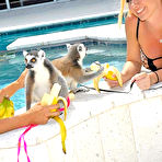 Second pic of Welivetogether Realitykings.com Molly Sahara Movies Anal Pics Munkey Love