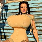 Fourth pic of 3D big tits