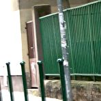 Third pic of PUBLIC VIOLATIONS