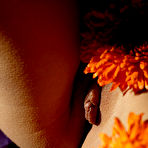 Fourth pic of Nata | Bodyscape: Garden Fresh - MPL Studios free gallery.