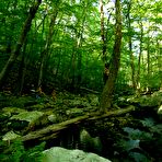 Third pic of CrAZyBaBe - Three Naked Girls in the Woods