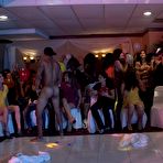 Third pic of Dancing Bear, sex party, bachelorette parties gone wild, party hardcore