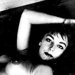 First pic of Vintage Pornography - by HomeMadeJunk.com