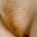 Fourth pic of Abby Winters Galleries - Featuring Real Amateur Girls Next Door from Australia