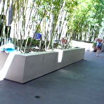 Fourth pic of PUBLIC VIOLATIONS