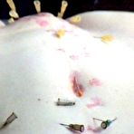 Fourth pic of CLITOR PUSSY TORTURE