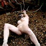 Second pic of Gallery