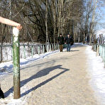 Second pic of Horny sluts in nylons