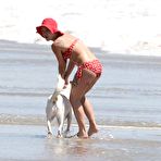 Fourth pic of Pink :: THE FREE CELEBRITY MOVIE ARCHIVE ::