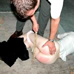Third pic of The biggest Domestic Discipline Site on Earth