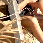 Second pic of PUBLIC VIOLATIONS