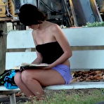 Second pic of PUBLIC VIOLATIONS