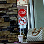 Third pic of PUBLIC VIOLATIONS