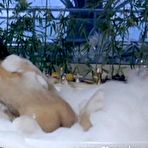 Third pic of  Yoima Valdes naked photos. Free nude celebrities.