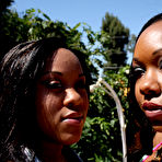 First pic of 40oz Bounce