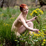 First pic of Lesbian Gallery - Teenies Thumbnails, Nude Virgin Pics