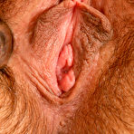 Fourth pic of ATK's Natural and Hairy