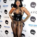 Second pic of Ashanti in stockings, leopard pants and bra