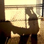 Third pic of Public Violations!