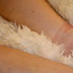 Second pic of Dreamgirls Nightly Wee