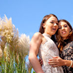First pic of Free Photos of Angelik & Tiffany AssTraffic
