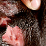 Fourth pic of JustNips.Com Everyday AMATEURS Totally Nude EXCLUSIVE